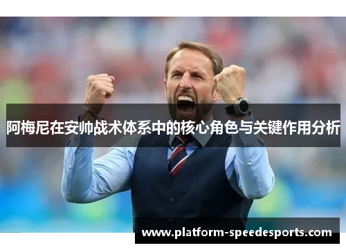 阿梅尼在安帅战术体系中的核心角色与关键作用分析